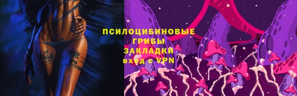 бошки Абаза