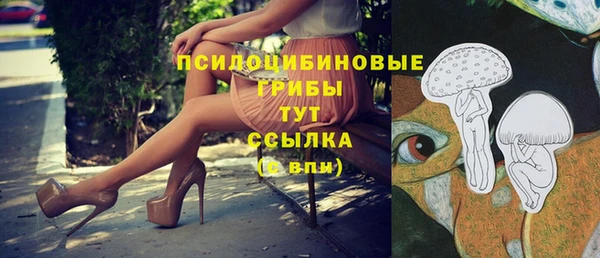 дмт Абдулино