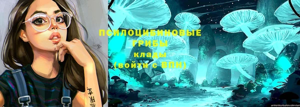 бошки Абинск
